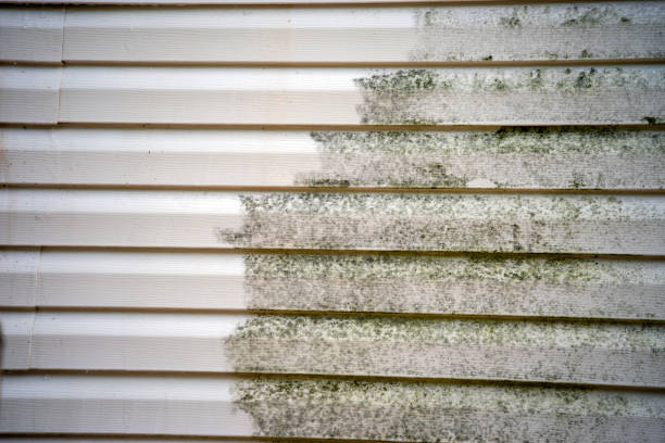 Best Shed Removal  in Empire, CA